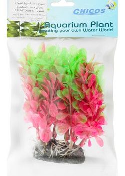 Chicos plastic plant JB5-2005R