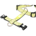 petshome_max-molly-h-harness-design-kiwi-xs-5.webp