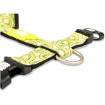 petshome_max-molly-h-harness-design-kiwi-xs-5.webp