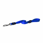 petshome_doco-6feet-signature-nylon-leash-blue-medium.png