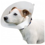 petshome_ferplast-gro-6004-veterinary-collar-dimension-22-25-x-7.jpg