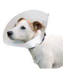 petshome_ferplast-gro-6007-veterinary-collar-2-a38-44cm-h20cm.jpg
