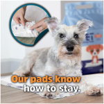 petshome_ipet-training-pads-10-pieces-6090-6.jpg