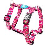 petshome_max-molly-h-harness-design-magical-m-2.jpg