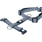 petshome_max-molly-h-harness-design-mykonos-black-m-5.webp