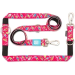 petshome_max-molly-multi-function-leash-design-magical-l.jpg