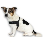 petshome_max-molly-q-fit-harness-design-matrix-20-black-xxs-4.webp