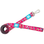 petshome_max-molly-short-leash-design-magical-s-3.webp