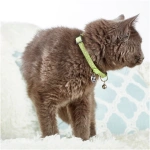 petshome_max-molly-smart-id-cat-collar-design-kiwi-1-size-4.webp