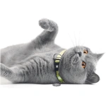 petshome_max-molly-smart-id-cat-collar-design-kiwi-1-size-4.webp