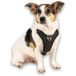 petshome_max-molly-sport-harness-design-matrix-20-black-xl-8.webp