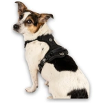 petshome_max-molly-sport-harness-design-matrix-20-black-xl-8.webp