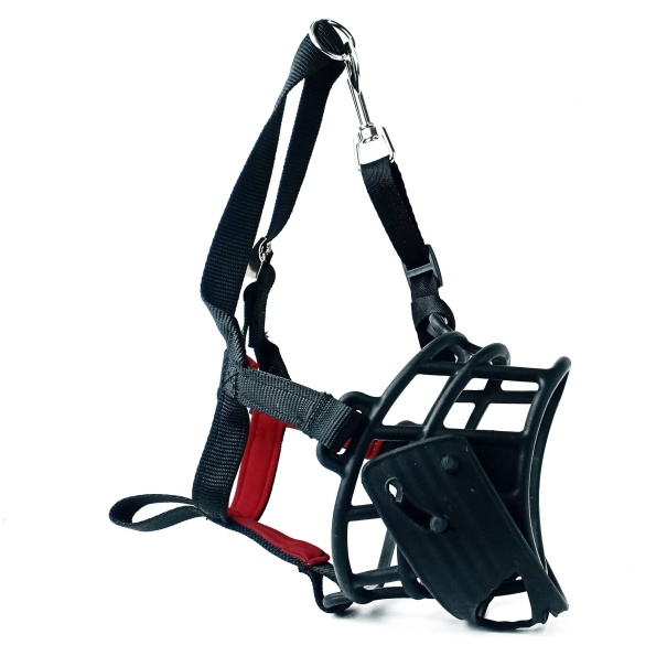 petshome nunbell musk no 5 1