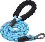 petshome_nunbell-pet-leash-large.jpg