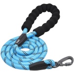 petshome_nunbell-pet-leash-large.jpg