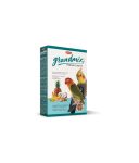 petshome_padovan-grandmix-parrocchetti-feed-for-parakeets-lovebirds-quarrions-400gm.jpg