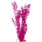 petshome_plastic-plant-for-aquarium-js12-305p.webp