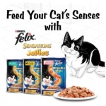 petshome_purina-felix-sensations-jellies-with-salmon-and-tomato-wet-cat-food-85g-5.jpg