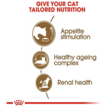 petshome_royal-canin-ageing-12-dry-cat-food-2kg-7.jpg