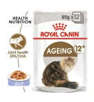 petshome_royal-canin-ageing12-jelly-pouch-85gm.webp