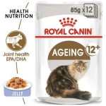 petshome_royal-canin-ageing12-jelly-pouch-85gm.webp