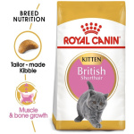 petshome_royal-canin-british-shorthair-kitten-dry-food-2kg-7.jpg