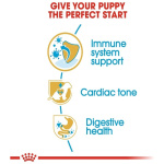 petshome_royal-canin-cavalier-king-charles-spaniel-puppy-dry-food-15kg-8.jpg