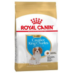 petshome_royal-canin-cavalier-king-charles-spaniel-puppy-dry-food-15kg-8.jpg