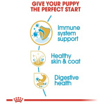 petshome_royal-canin-cocker-spaniel-puppy-dry-food-3kg-8.jpg