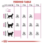 royal-canin-feline-health-nutrition-protein-exigent-cat-dry-food-2kg.jpg