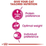 royal-canin-feline-health-nutrition-protein-exigent-cat-dry-food-2kg.jpg