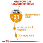 petshome_royal-canin-hair-skin-adult-dry-cat-food-10kg-7.jpg