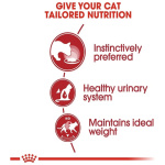 petshome_royal-canin-instinctive-adult-in-jelly-wet-cat-food-85g-9.jpg