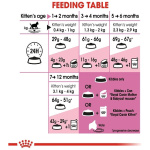 petshome_royal-canin-kitten-dry-food-10kg-8.jpg