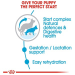 petshome_royal-canin-maxi-starter-mother-babydog-dry-food-4kg-7.jpg