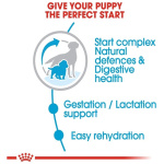 petshome_royal-canin-medium-starter-mother-babydog-dry-dog-food-4kg-7.jpg