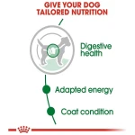 petshome_royal-canin-mini-adult-wet-dog-food-85g-7.jpg