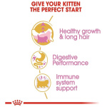 petshome_royal-canin-persian-kitten-dry-food-400gm-7.jpg