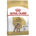 petshome_royal-canin-poodle-adult-dog-15kg.jpg