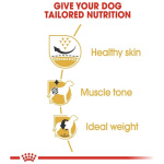 petshome_royal-canin-pug-adult-dry-dog-food-15kg-8.jpg