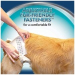 petshome_simple-solution-disposable-diapers-large-xl-1×12-1.png