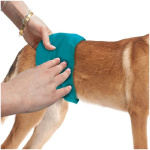 petshome_simple-solution-medium-washable-wrap-20-22-inches-for-male-dogs-2.png