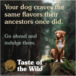 petshome_taste-of-the-wild-ancient-prairie-canine-recipe-227kg-3.png