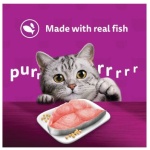 petshome_whiskas-junior-wet-cat-food-with-tuna-in-jelly-2-12-months-6.jpg