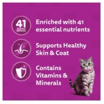 petshome_whiskas-junior-wet-cat-food-with-tuna-in-jelly-2-12-months-6.jpg