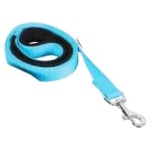 petshome_zolux-leashes-nylon-lead-1m-25mm-turquoise.jpeg