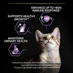 purina-pro-plan-original-kitten-10-kg