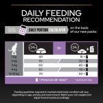 purina-pro-plan-original-kitten-10-kg