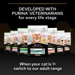 purina-pro-plan-original-kitten-10-kg