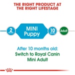 50553-RC-SHN-PuppyMini-MV-EretailKit_58986e4a-8239-4ffe-a876-6e35c2108b48.jpg673a78d8496d6.jpg